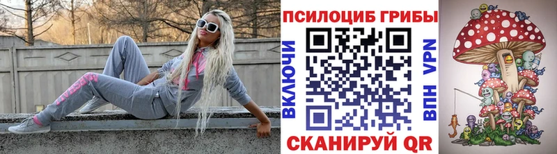 Псилоцибиновые грибы прущие грибы  Купить где  Приозерск 